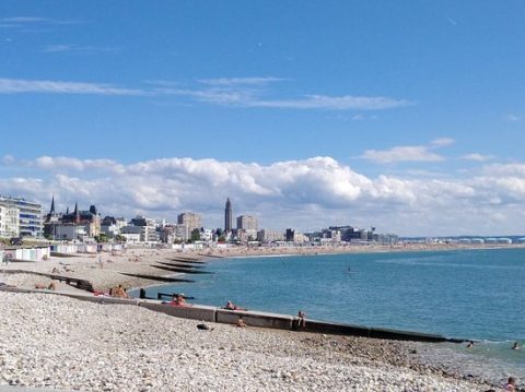 Sur la plage du Havre…coquillages et crustacés