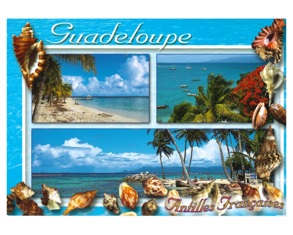Monsieur D et son ADV se sont envolés pour les Antilles !